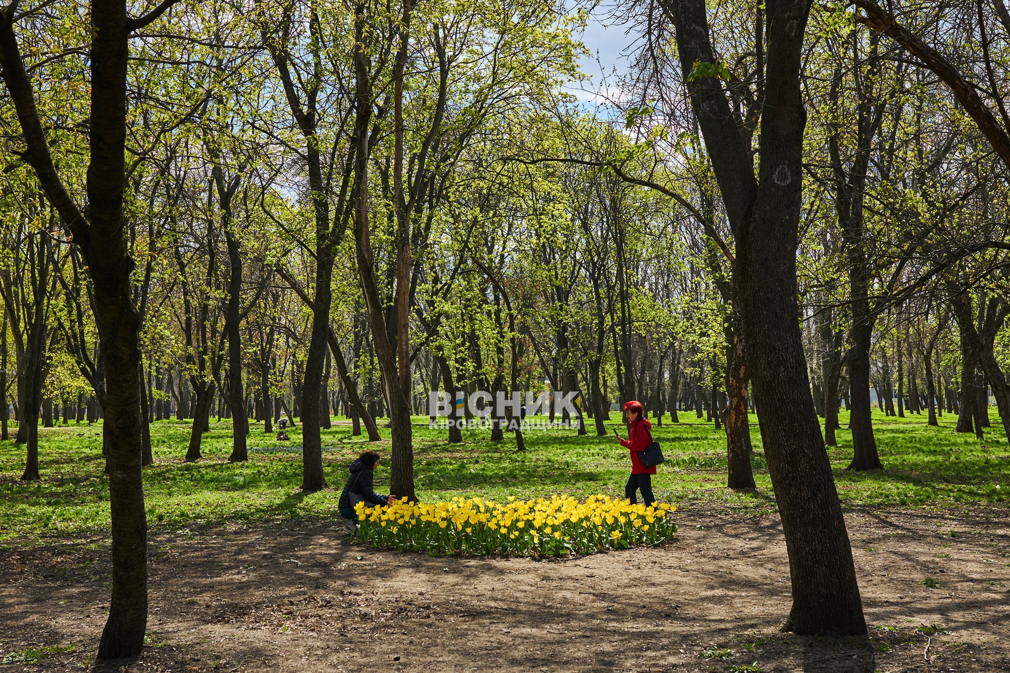 Не тюльпанами єдиними: як Дендропарк зустрів весну 2026 року