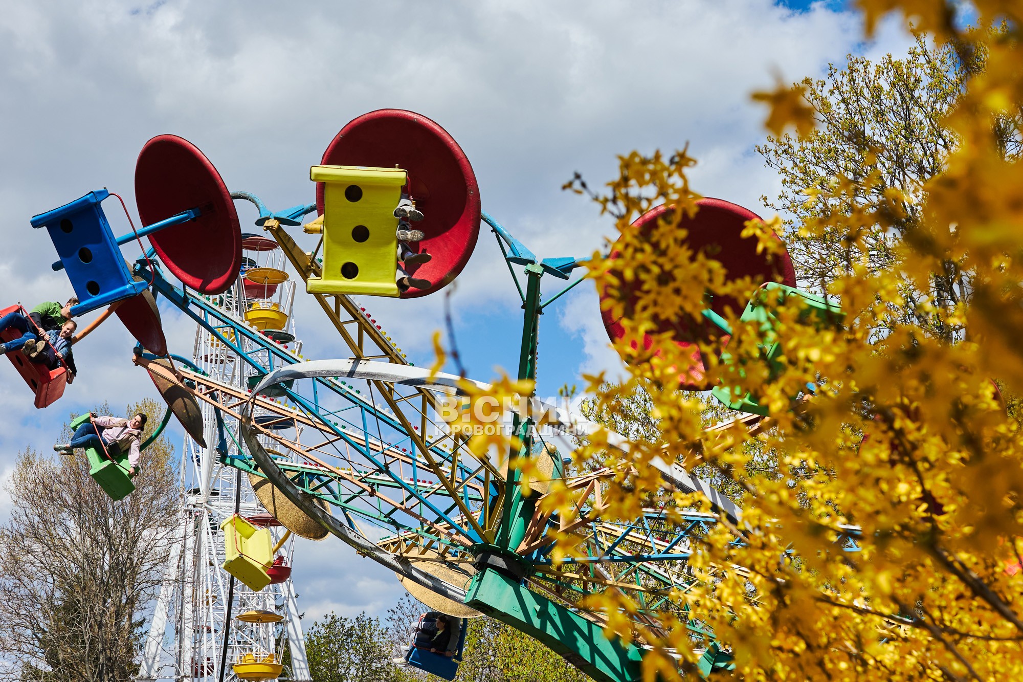 Не тюльпанами єдиними: як Дендропарк зустрів весну 2026 року