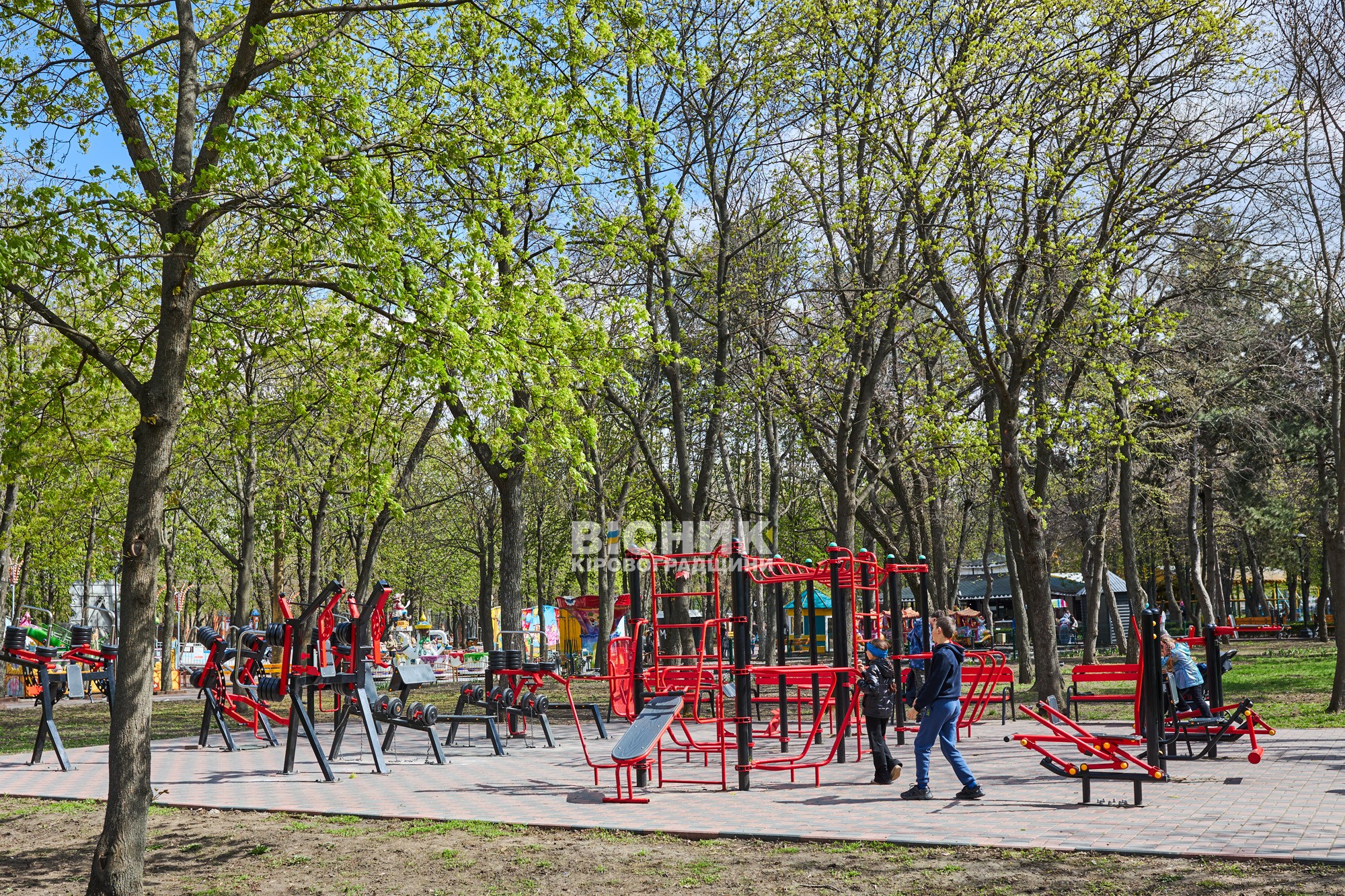 Не тюльпанами єдиними: як Дендропарк зустрів весну 2026 року