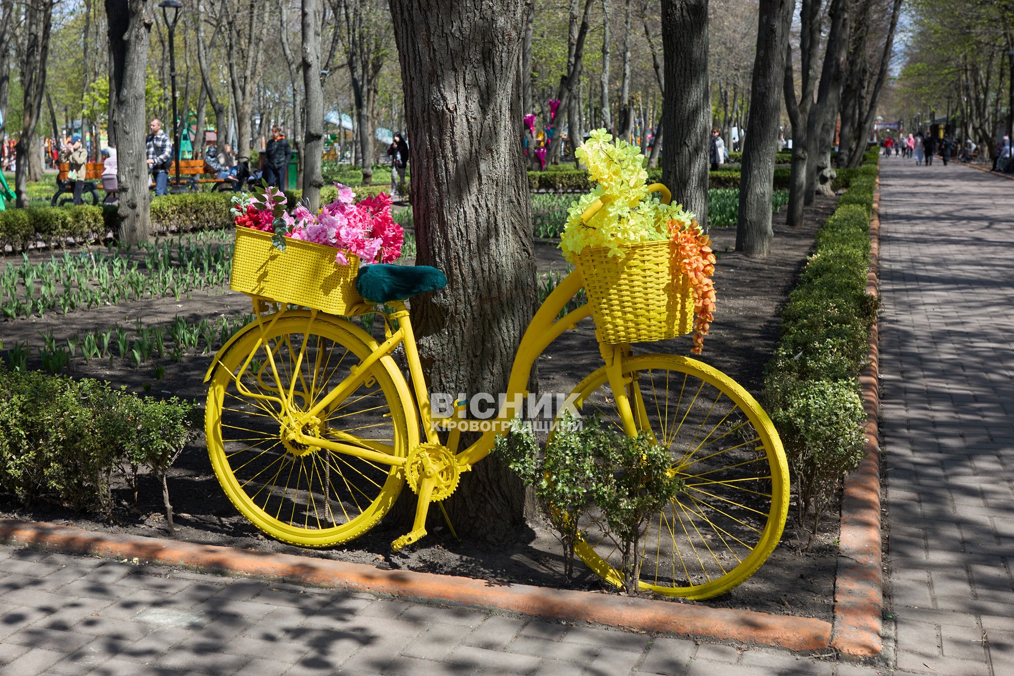 Не тюльпанами єдиними: як Дендропарк зустрів весну 2026 року