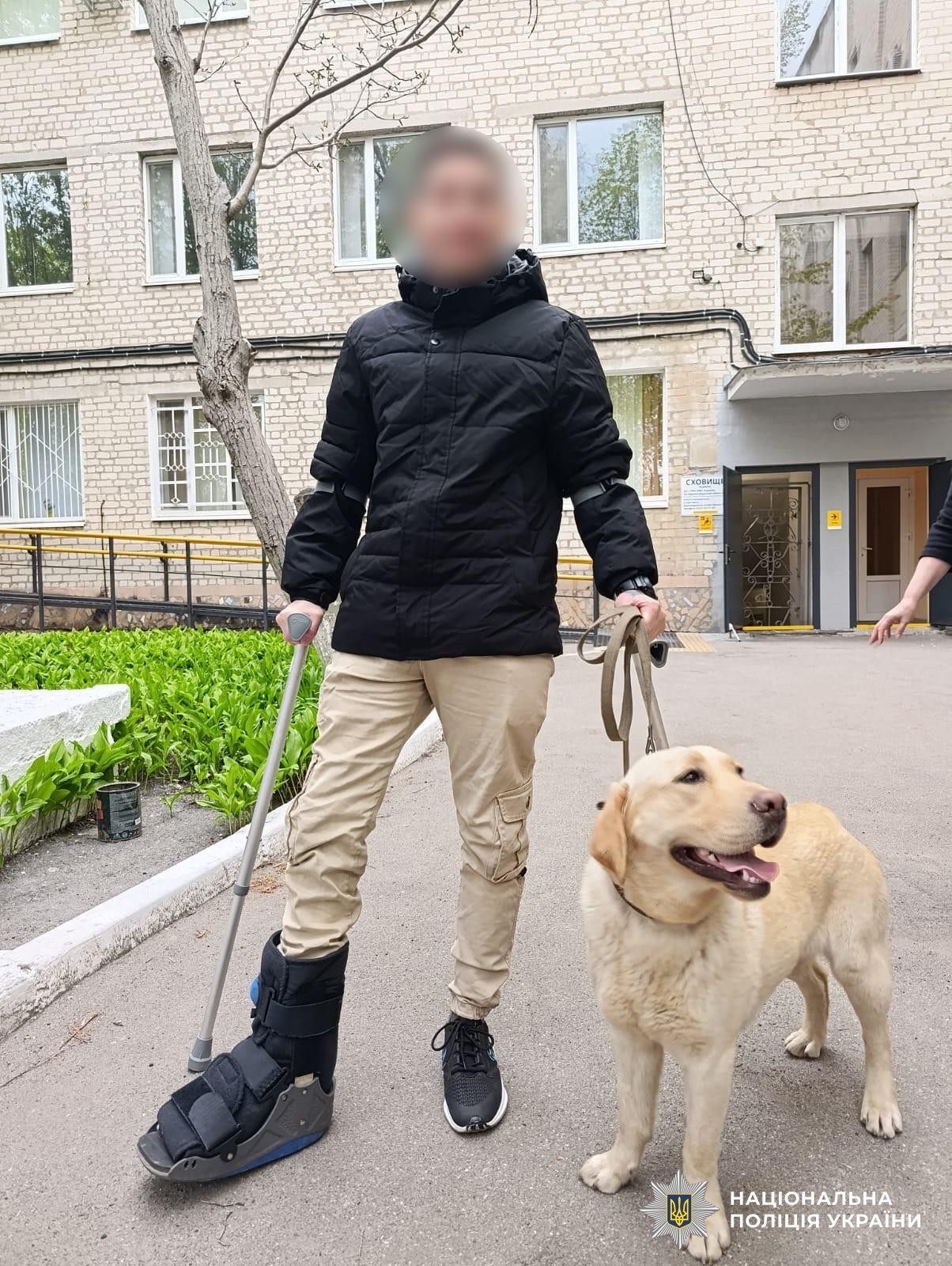Чотирилапа реабілітація: як службові собаки допомагають відновленню захисників